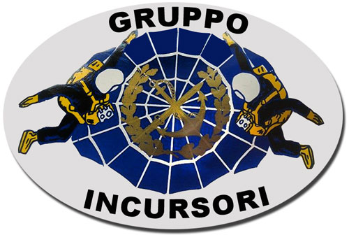 Adesivo della squadra TCL