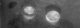Incursori in apnea